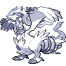 643_Reshiram