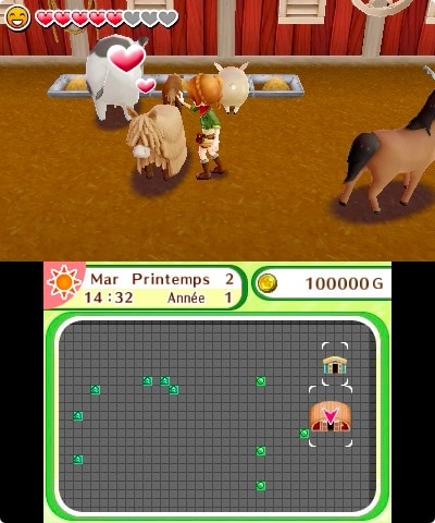 Jeu Nintendo 3DS Harvest Moon : Le Village De L'Arbre Céleste - Version Neuve Sous Blister