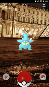 Capture D'un Pokémon