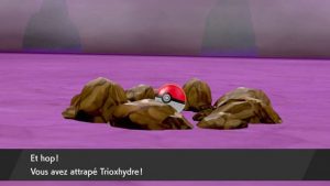 Raid Dynamax Trioxhydre Capturé