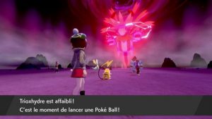 Raid Dynamax Capture De Trioxhydre