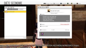SAO HR Deluxe Edition Quête De PNJ