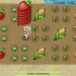 NSwitch Rune Factory 4 Special 02