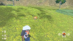 Pokémon Sauvage Capture