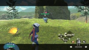 Pokémon Sauvage Combat 1