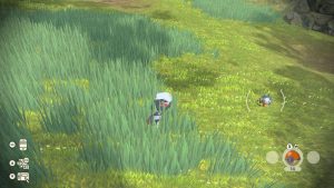 Pokémon Sauvage Observation