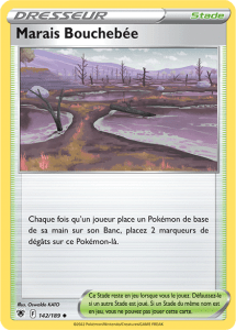 Marais Bouchebée (SWSH10 FR 142)