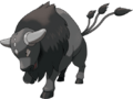 Pokedex-Tauros-de-Paldea-Race-Combative
